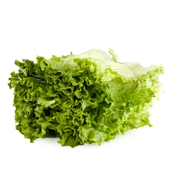 Lechuga de Hoja